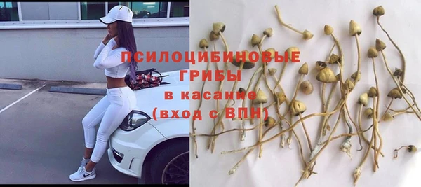 прущая мука Бронницы