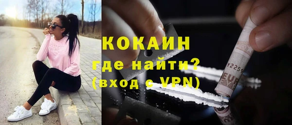 МДПВ Бородино
