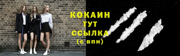 МДПВ Бородино