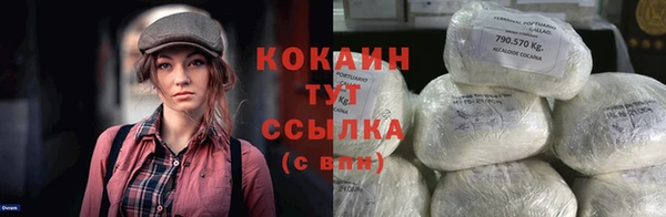 МДПВ Бородино