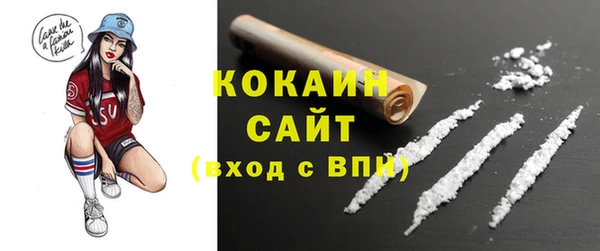 МДПВ Бородино