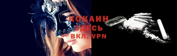 МДПВ Бородино