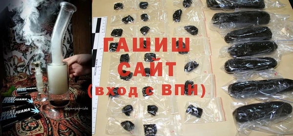 МДПВ Бородино