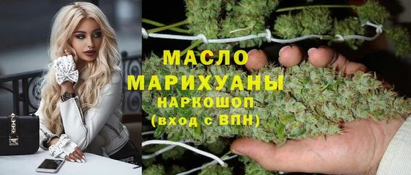 МДПВ Бородино