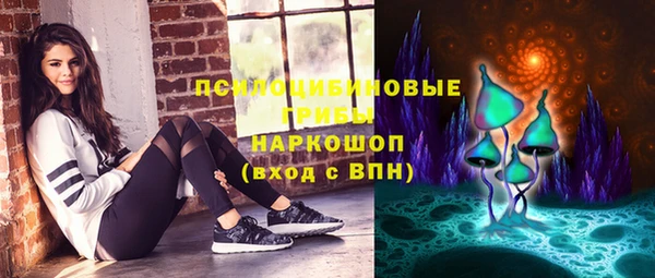 МДПВ Бородино
