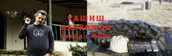 МДПВ Бородино